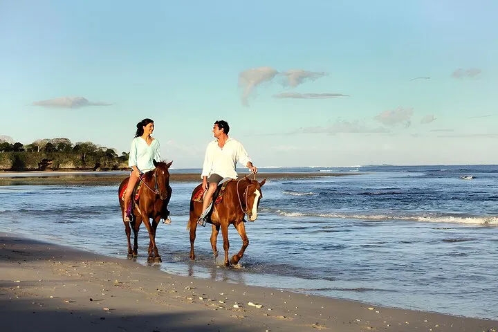 Horse Riding at Saba Beach